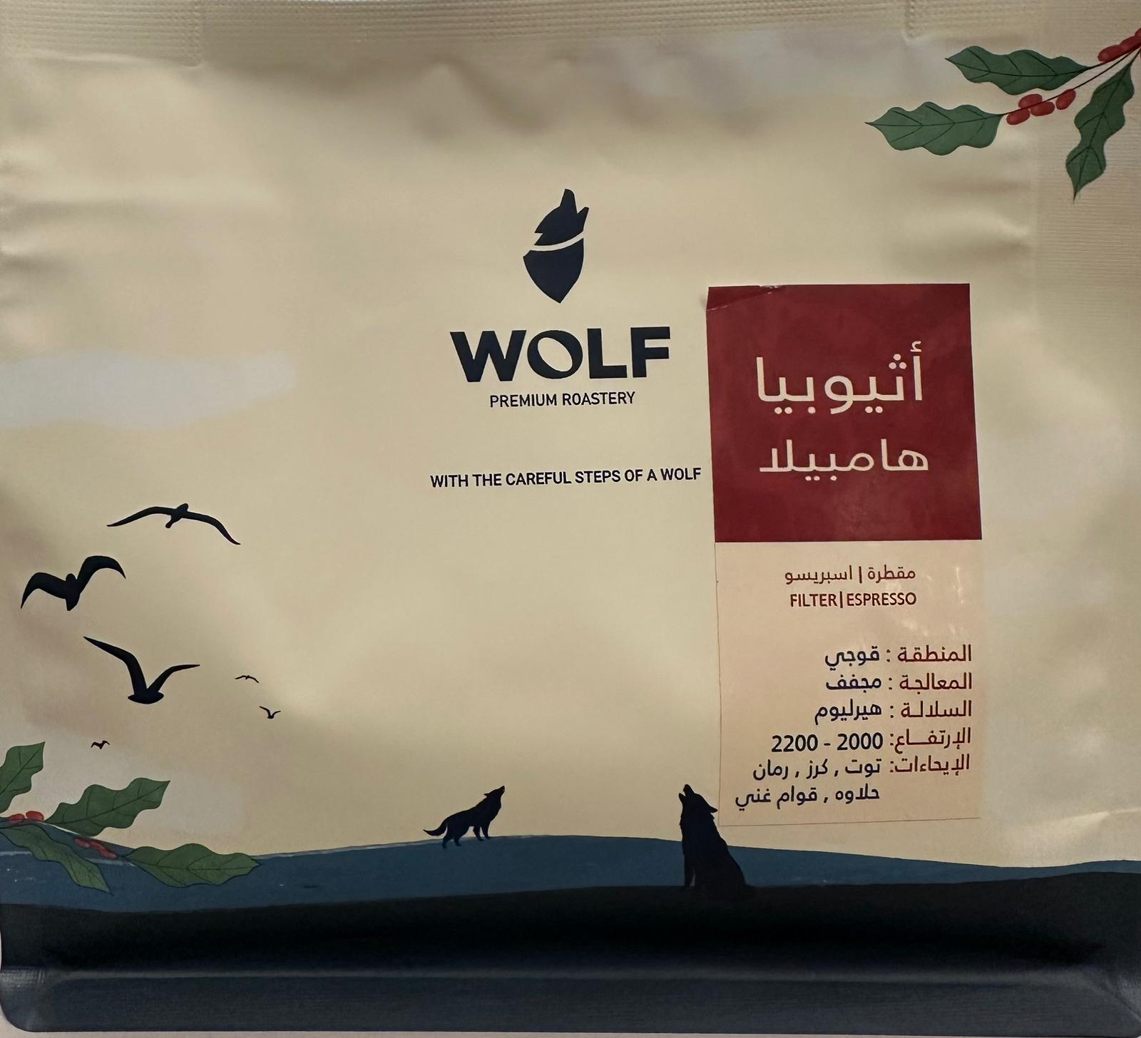 WOLF Ethiopia - Hambela -27/3/2026